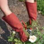 best gloves for gardening